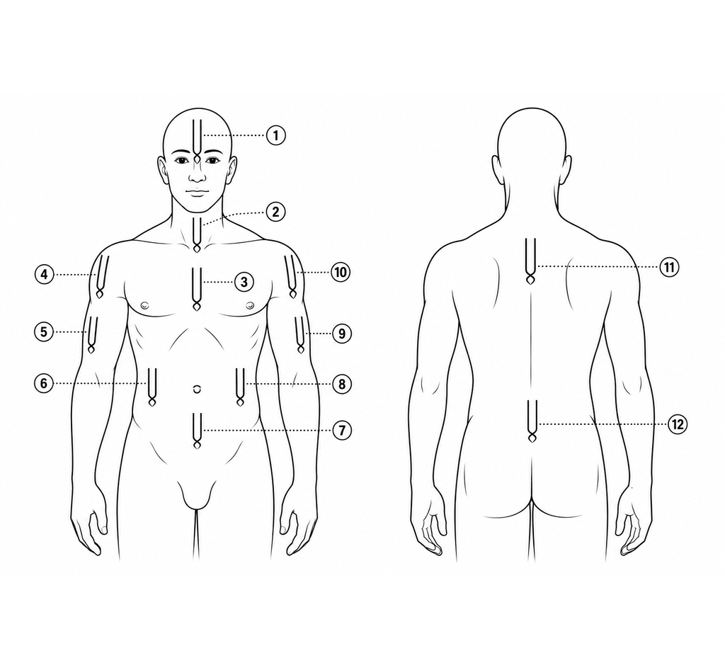 Front and back diagram showing the twelve traditional places for applying Vaiṣṇava tilaka